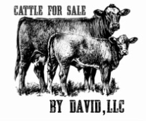 Cattle For Sale By David, LLC