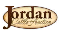 Jordan Cattle Auction
