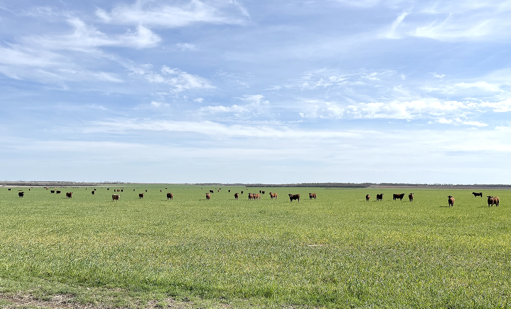 NEAR ANSON in North Central Texas, the area is often referred to as the Big Country, with open spaces stretching to the horizon. Such vistas can’t help but bring on pleasant thoughts and a diversion from the day-to-day grind.