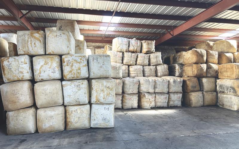 A TIGHT WOOL SUPPLY is one of the factors for a better market this year. The higher market has so far been attributed to increased demand from Asia, especially China. The increased demand has reduced global wool inventories, while production continues to decline in major producing countries.