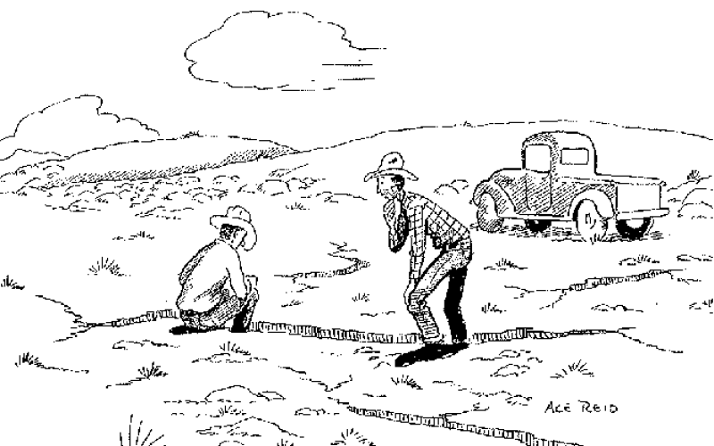 “You know it’s dry when you can bury a body in the cracks!”