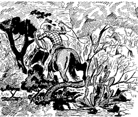 “The secret to catchin’ these ol’ cows in the brush is never take yer eyes off em!”