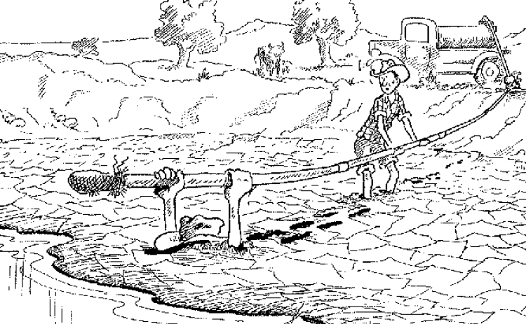 “It ain’t that boggy in there!”